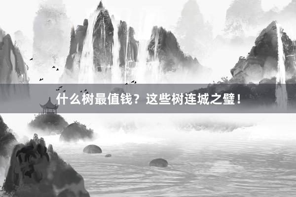 什么树最值钱？这些树连城之璧！